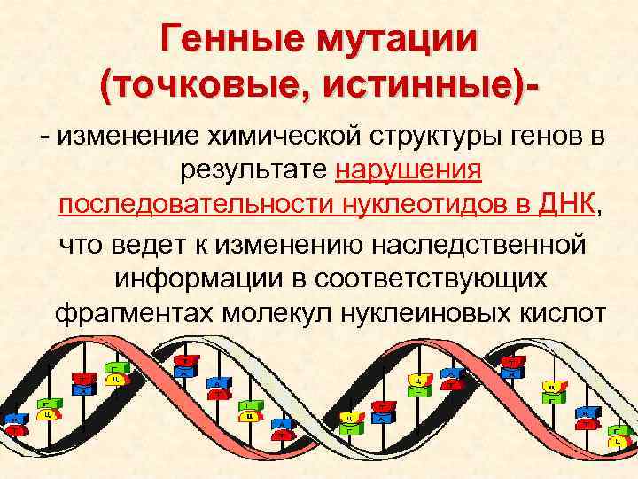 Изменение строения генов. Генные мутации презентация. Изменение структуры ДНК.