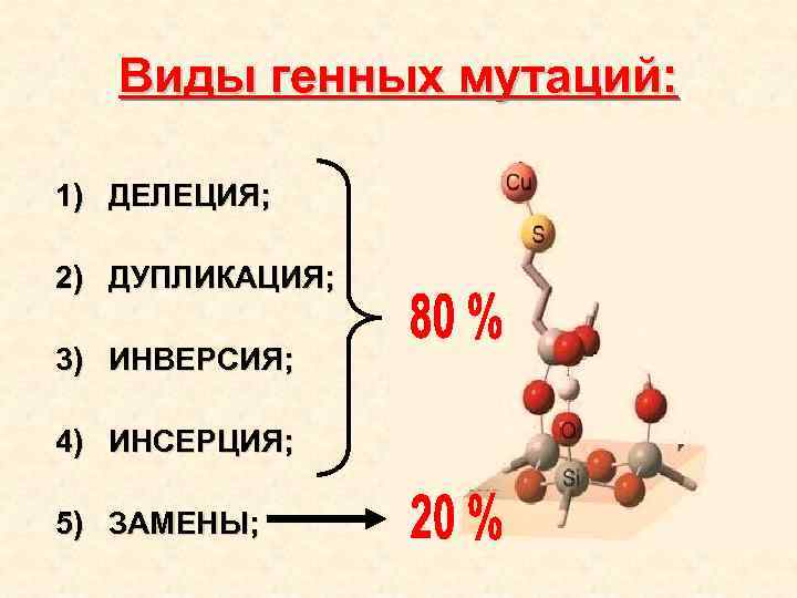 Виды генных мутаций: 1) ДЕЛЕЦИЯ; 2) ДУПЛИКАЦИЯ; 3) ИНВЕРСИЯ; 4) ИНСЕРЦИЯ; 5) ЗАМЕНЫ; 