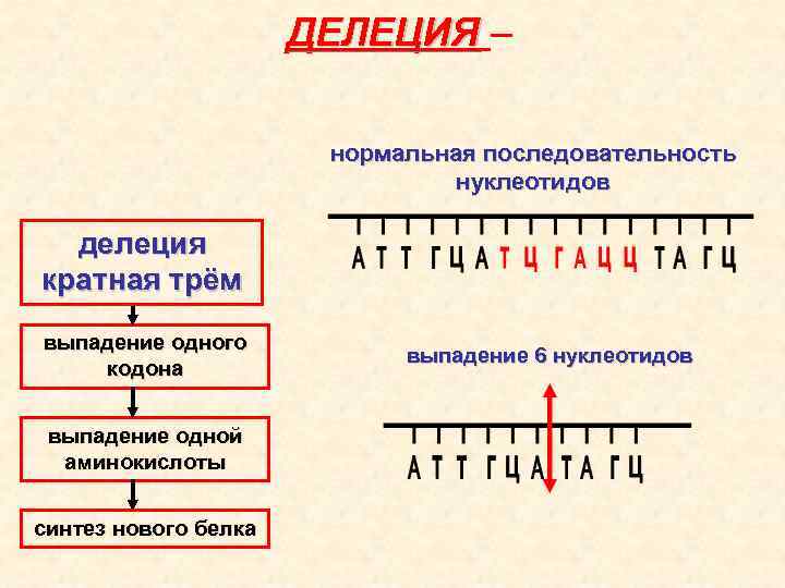 Изменение гена. Генные мутации делеция. Генные мутации нуклеотиды. Делеция нуклеотида это. Генная делеция это.