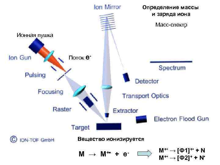 Определение массы и заряда иона Масс-спектр Ионная пушка Поток е- Вещество ионизируется M →