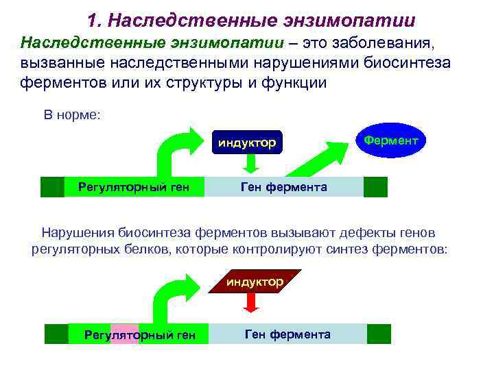 1. Наследственные энзимопатии – это заболевания, вызванные наследственными нарушениями биосинтеза ферментов или их структуры