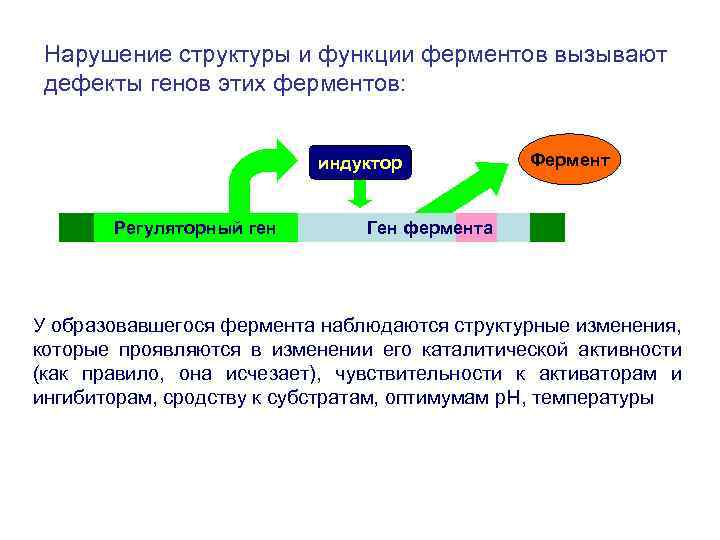 Нарушение структуры и функции ферментов вызывают дефекты генов этих ферментов: индуктор Регуляторный ген Фермент