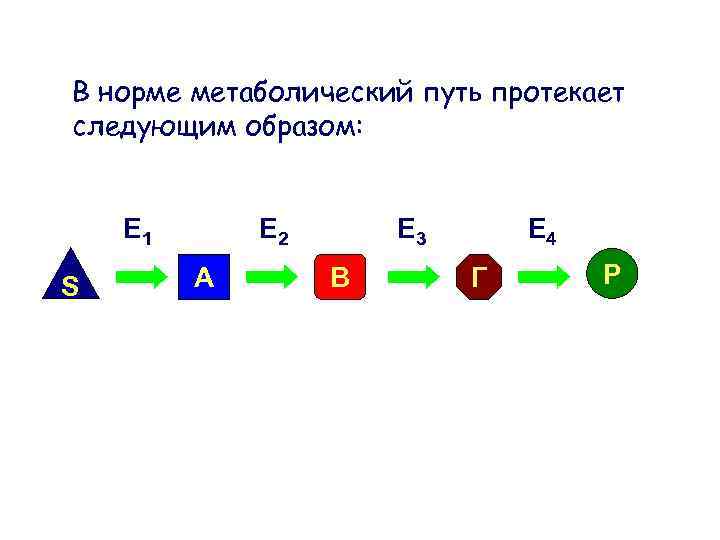 В норме метаболический путь протекает следующим образом: E 1 S E 2 А E