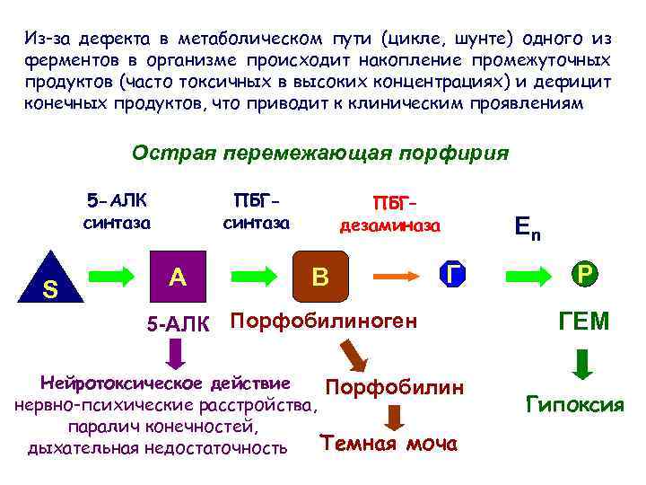 Из-за дефекта в метаболическом пути (цикле, шунте) одного из ферментов в организме происходит накопление