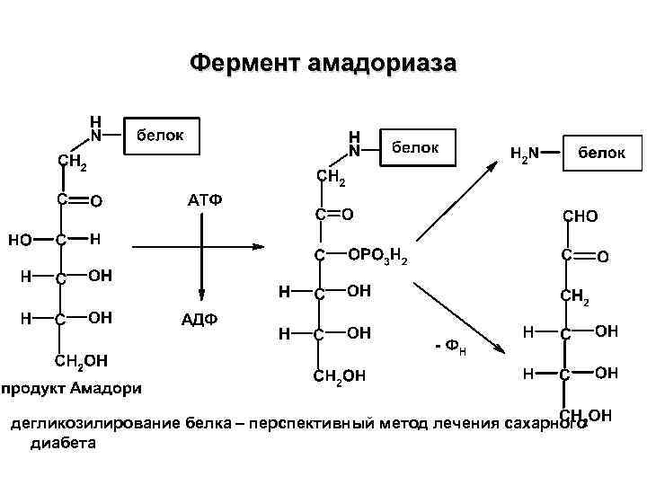 Схема бх для собак