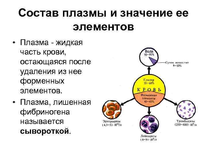 Состав плазмы и значение ее элементов • Плазма - жидкая часть крови, остающаяся после