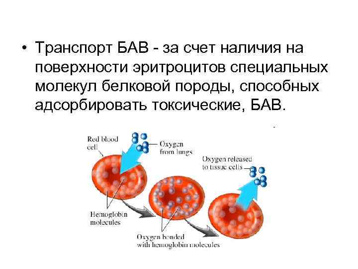  • Транспорт БАВ - за счет наличия на поверхности эритроцитов специальных молекул белковой