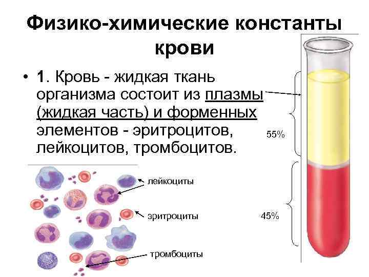 Физико-химические константы крови • 1. Кровь - жидкая ткань организма состоит из плазмы (жидкая