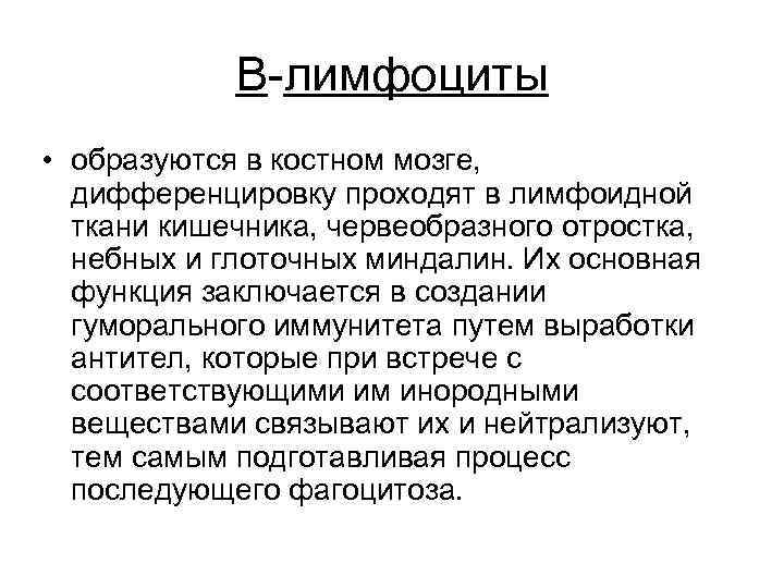 В-лимфоциты • образуются в костном мозге, дифференцировку проходят в лимфоидной ткани кишечника, червеобразного отростка,