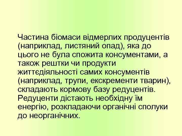 Частина біомаси відмерлих продуцентів (наприклад, листяний опад), яка до цього не була спожита консументами,