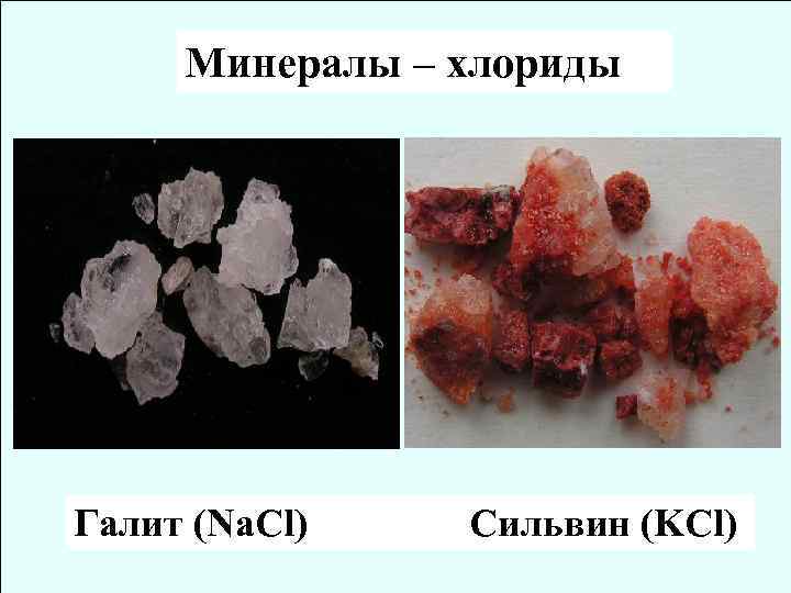 Минералы – хлориды Галит (Na. Cl) Сильвин (KCl) 