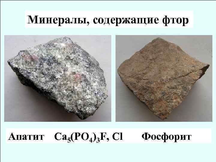 Минералы, содержащие фтор Апатит Ca 5(PO 4)3 F, Cl Фосфорит 