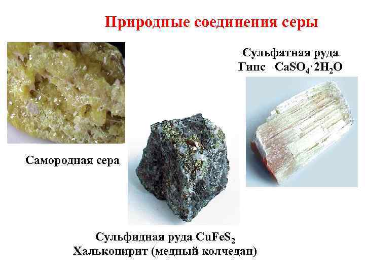 Природные соединения серы Сульфатная руда Гипс Ca. SO 4· 2 H 2 O Самородная
