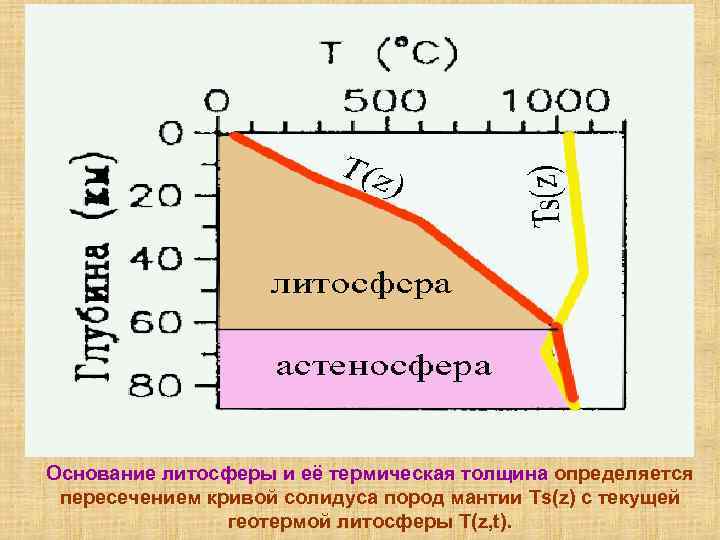 Основание литосферы и её термическая толщина определяется пересечением кривой солидуса пород мантии Ts(z) с