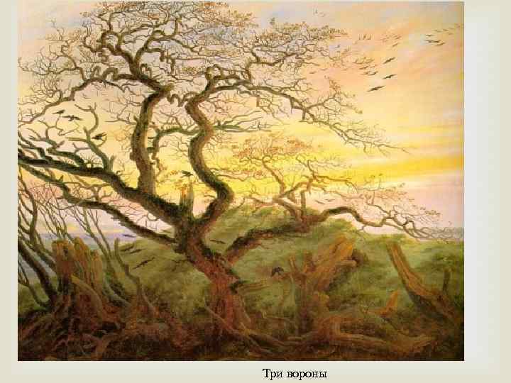  Три вороны 