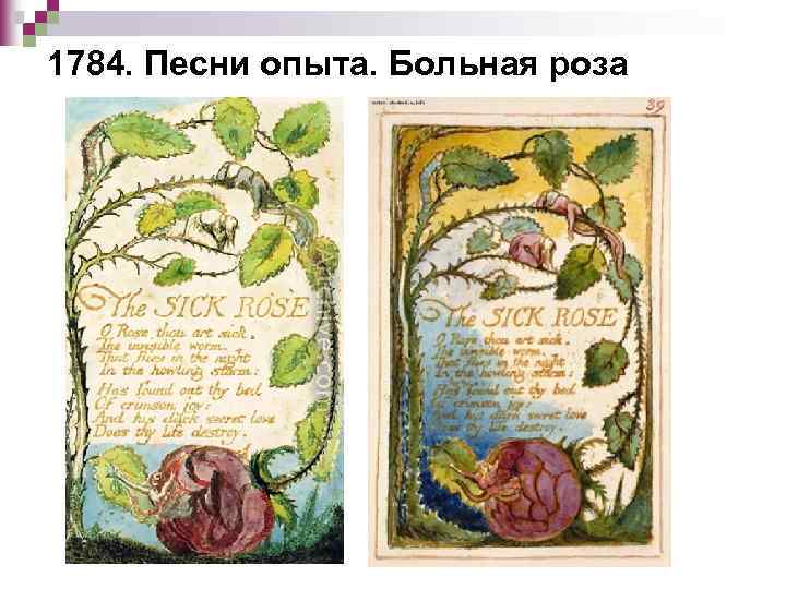 1784. Песни опыта. Больная роза 