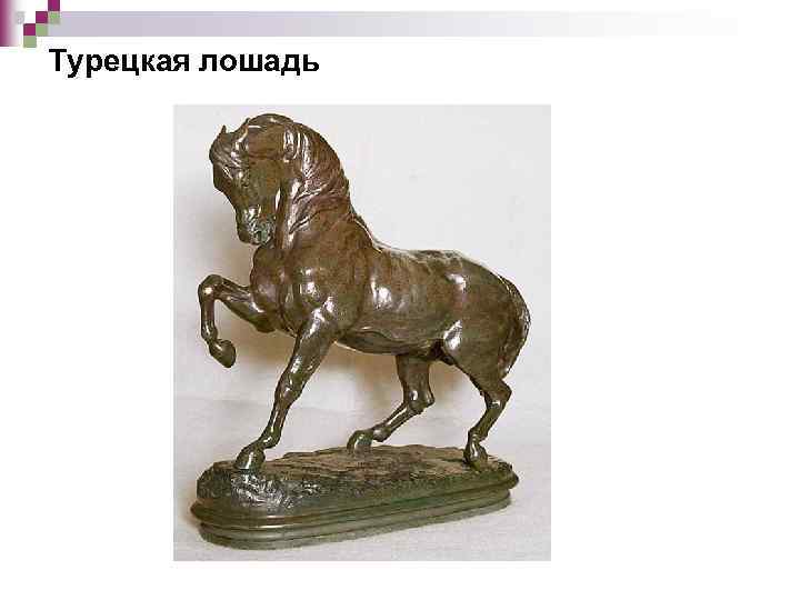 Турецкая лошадь 