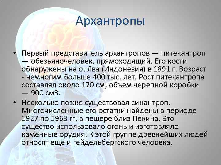 Архантропы • Первый представитель архантропов — питекантроп — обезьяночеловек, прямоходящий. Его кости обнаружены на