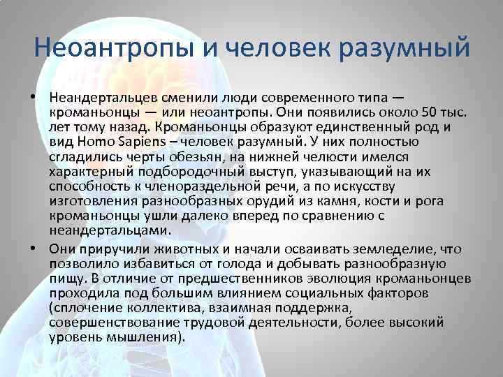 Неоантропы и человек разумный • Неандертальцев сменили люди современного типа — кроманьонцы — или