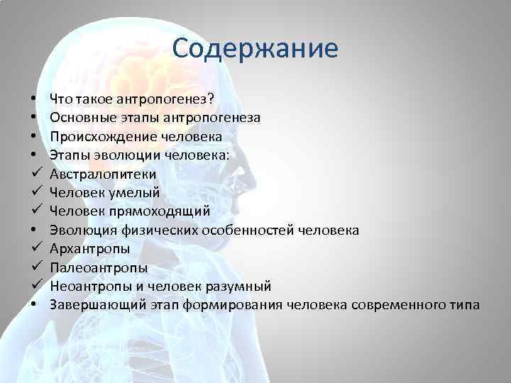 Содержание • • ü ü ü • Что такое антропогенез? Основные этапы антропогенеза Происхождение