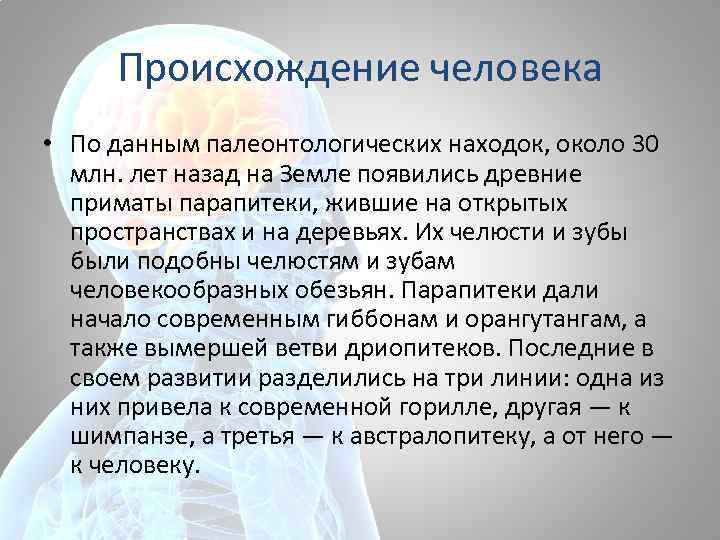 Происхождение человека • По данным палеонтологических находок, около 30 млн. лет назад на Земле