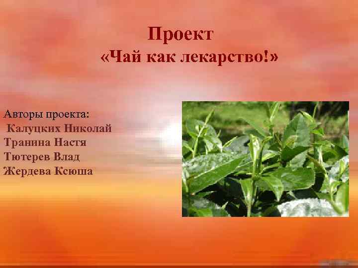 Проект «Чай как лекарство!» Авторы проекта: Калуцких Николай Транина Настя Тютерев Влад Жердева Ксюша