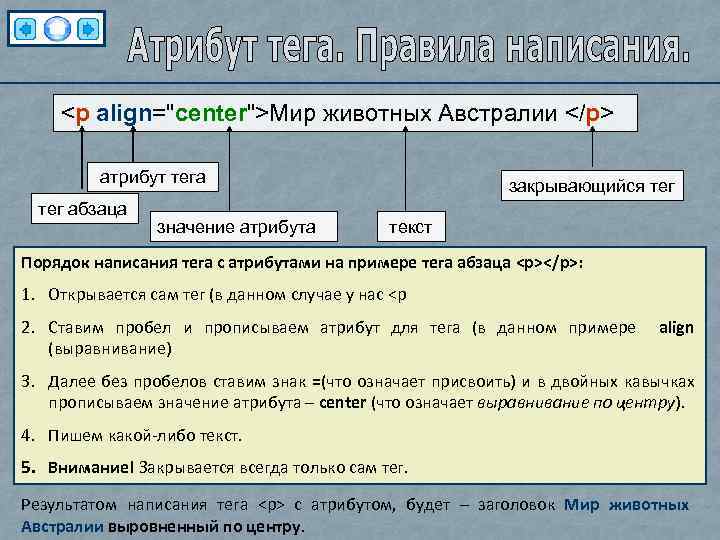 <p align="center">Мир животных Австралии </p> атрибут тега тег абзаца значение атрибута закрывающийся тег текст
