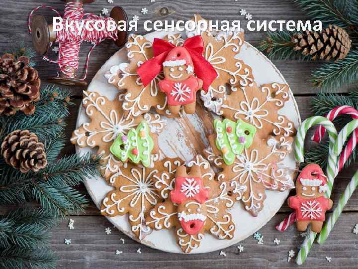 Вкусовая сенсорная система 