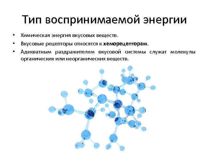 Тип воспринимаемой энергии • • • Химическая энергия вкусовых веществ. Вкусовые рецепторы относятся к