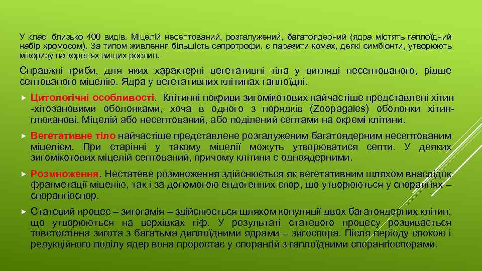У класі близько 400 видів. Міцелій несептований, розгалужений, багатоядерний (ядра містять гаплоїдний набір хромосом).