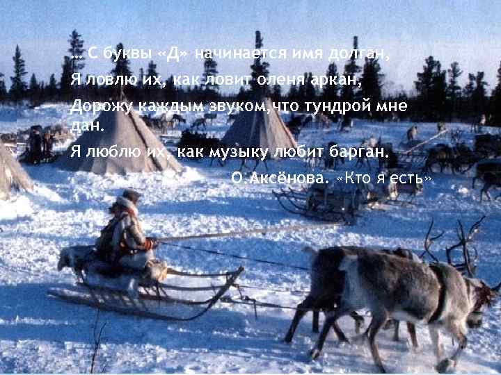 … С буквы «Д» начинается имя долган, Я ловлю их, как ловит оленя аркан,