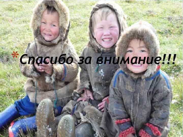 *Спасибо за внимание!!! 