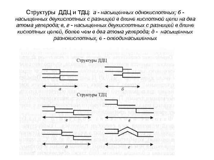 Структуры ДДЦ и ТДЦ: а - насыщенных однокислотных; б насыщенных двукислотных с разницей в