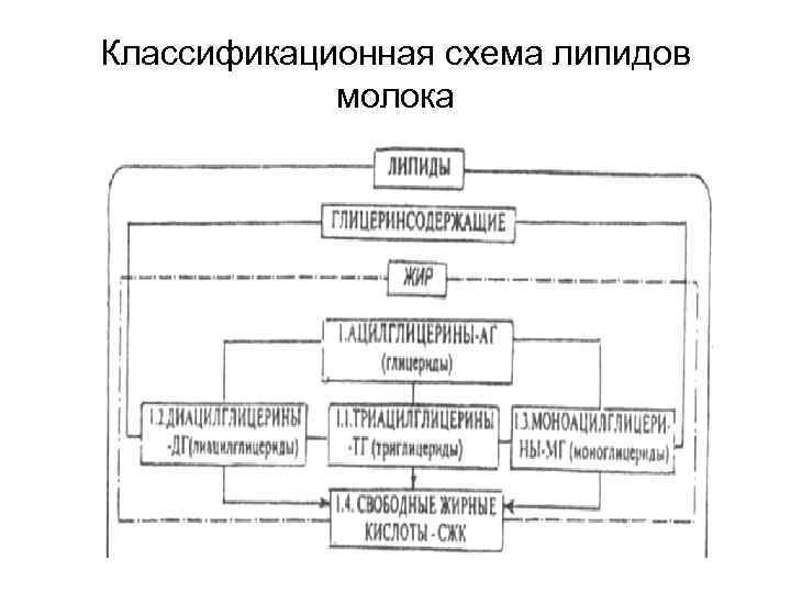 Классификационная схема липидов молока 