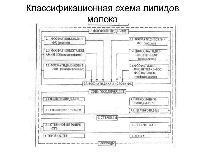 Классификационная схема липидов молока 