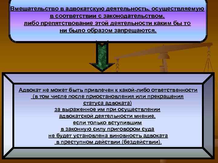 Формы вмешательства деятельность. Направления адвокатской деятельности.