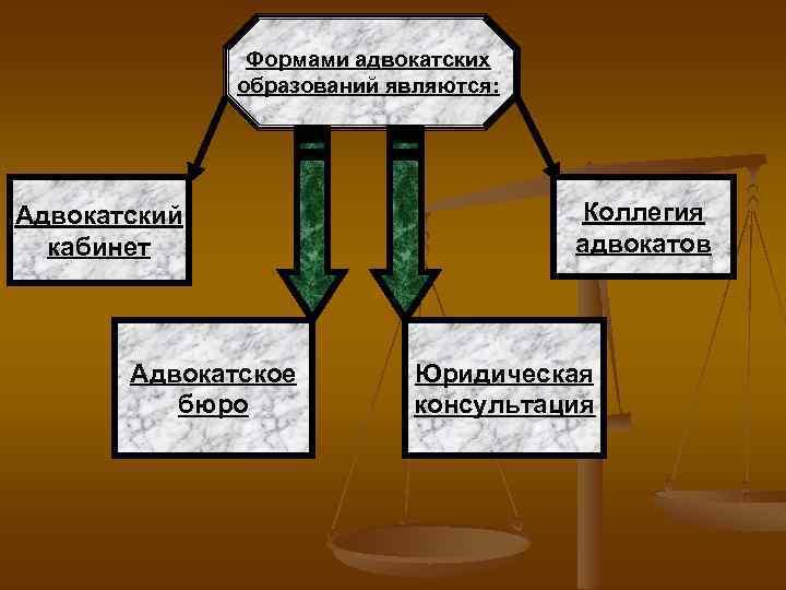 Структура коллегии адвокатов схема