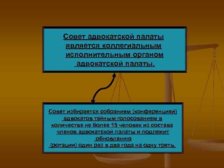 Совет адвокатской палаты является коллегиальным исполнительным органом адвокатской палаты. Совет избирается собранием (конференцией) адвокатов