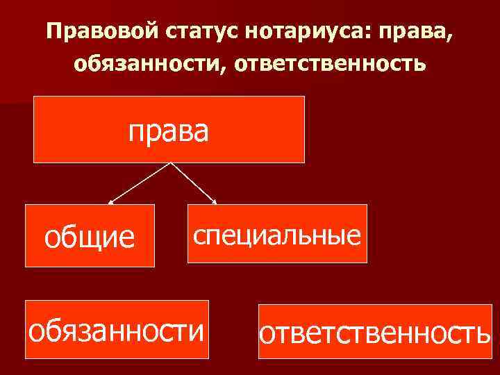 Правовой статус нотариуса: права, обязанности, ответственность права общие специальные обязанности ответственность 