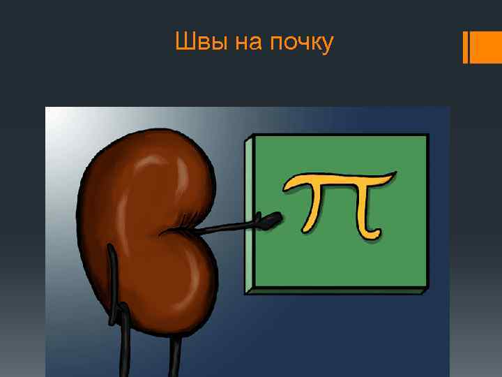 Швы на почку 