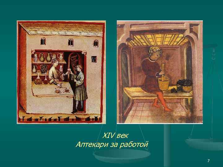 XIV век Аптекари за работой 7 