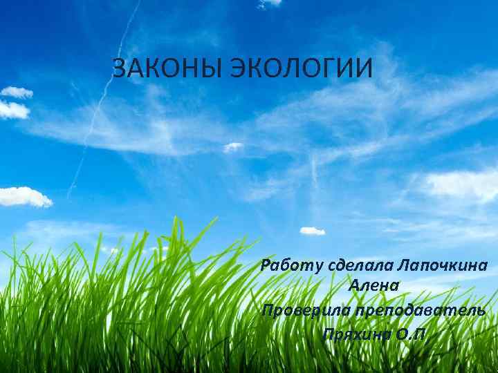 ЗАКОНЫ ЭКОЛОГИИ Работу сделала Лапочкина Алена Проверила преподаватель Пряхина О. П 