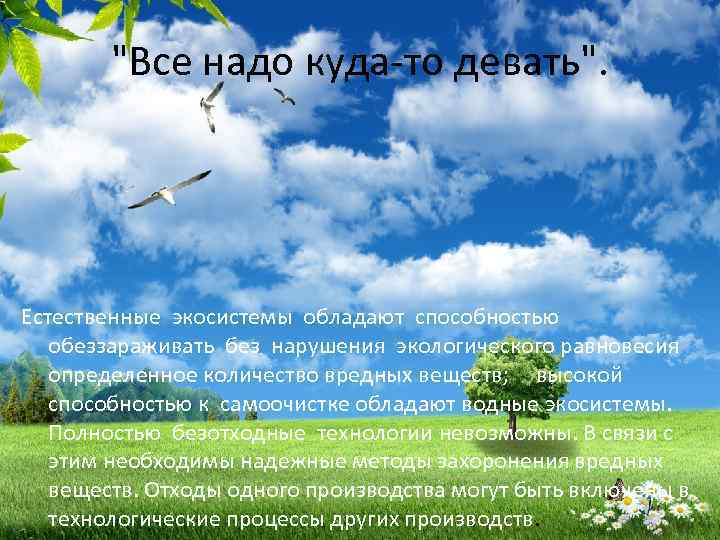 "Все надо куда-то девать". Естественные экосистемы обладают способностью обеззараживать без нарушения экологического равновесия определенное