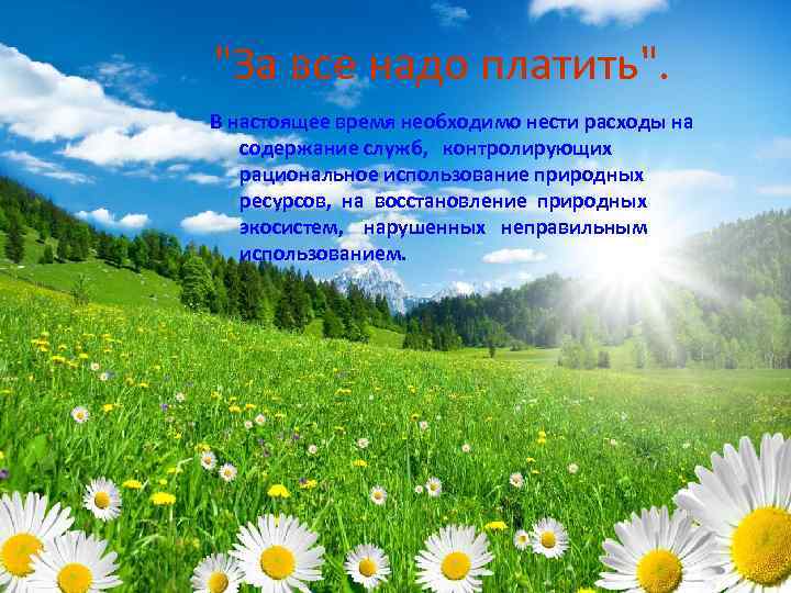 "За все надо платить". В настоящее время необходимо нести расходы на содержание служб, контролирующих