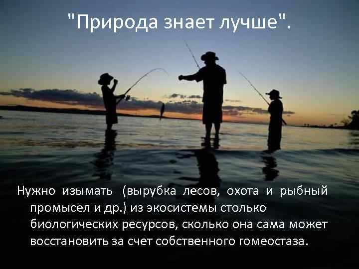 "Природа знает лучше". Нужно изымать (вырубка лесов, охота и рыбный промысел и др. )