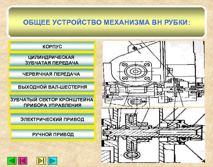 Механизмы приспособления