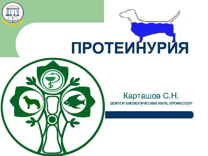 ПРОТЕИНУРИЯ Карташов С. Н. ДОКТОР БИОЛОГИЧЕСКИХ НАУК, ПРОФЕССОР 1 