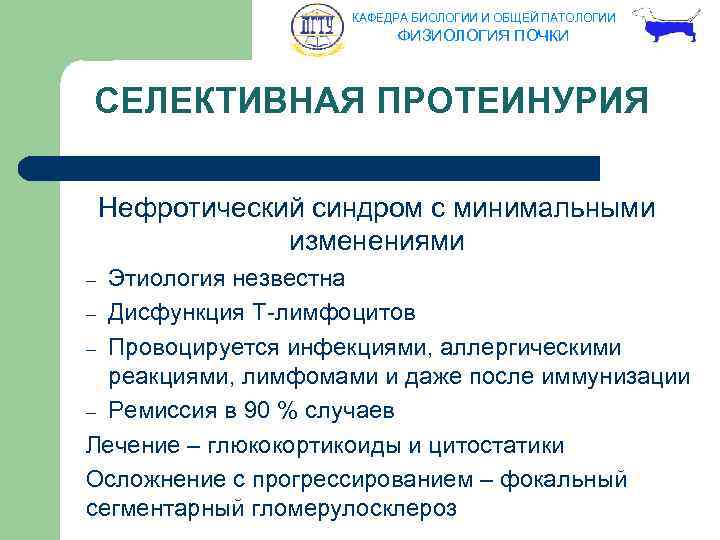 КАФЕДРА БИОЛОГИИ И ОБЩЕЙ ПАТОЛОГИИ ФИЗИОЛОГИЯ ПОЧКИ СЕЛЕКТИВНАЯ ПРОТЕИНУРИЯ Нефротический синдром с минимальными изменениями