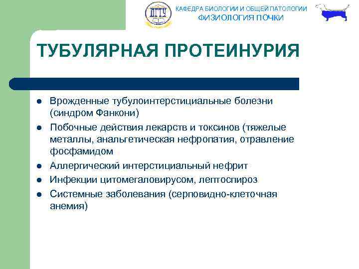 КАФЕДРА БИОЛОГИИ И ОБЩЕЙ ПАТОЛОГИИ ФИЗИОЛОГИЯ ПОЧКИ ТУБУЛЯРНАЯ ПРОТЕИНУРИЯ l l l Врожденные тубулоинтерстициальные