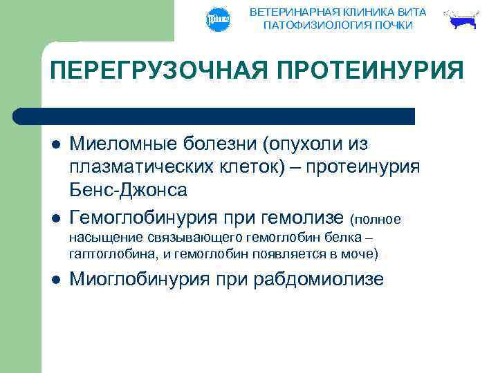 ВЕТЕРИНАРНАЯ КЛИНИКА ВИТА ПАТОФИЗИОЛОГИЯ ПОЧКИ ПЕРЕГРУЗОЧНАЯ ПРОТЕИНУРИЯ l l Миеломные болезни (опухоли из плазматических